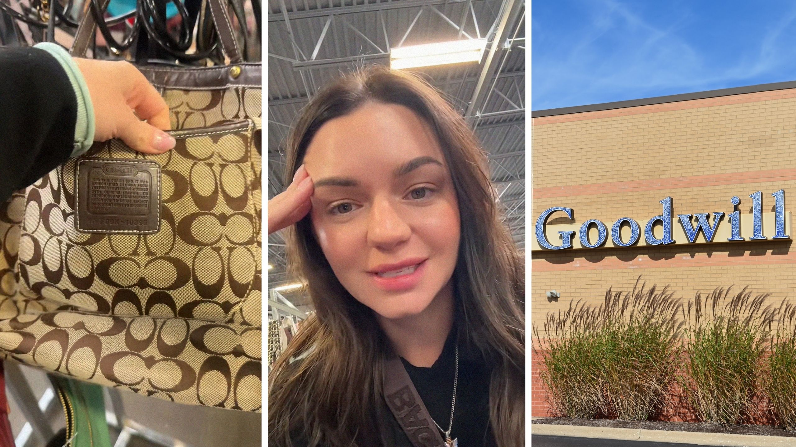 ‘They have no idea what they’re doing’: Woman proves Goodwill prices don’t add up after finding ‘fake’ Coach bag for $40–then stumbling onto a real one ‘They have no idea what they’re doing’: Woman proves Goodwill prices don’t add up after finding ‘fake’ Coach bag for $40–then stumbling onto a real one