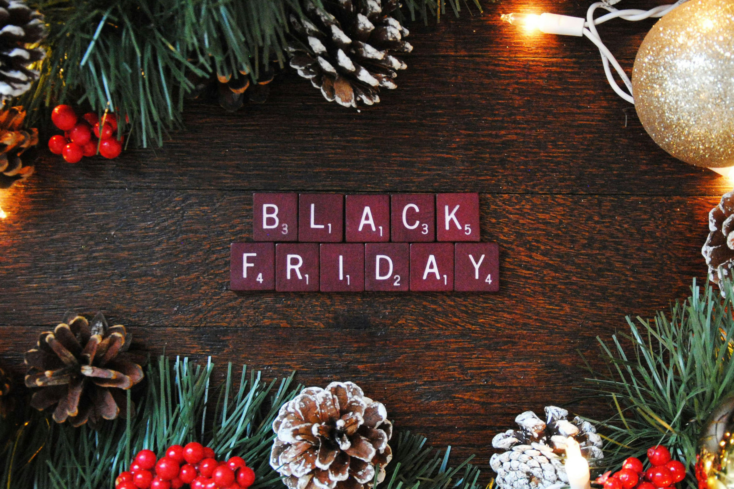 Black Friday holiday shopping guide