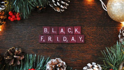 Black Friday holiday shopping guide