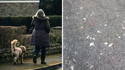 woman walking dog (l) moth balls on the road side (r)