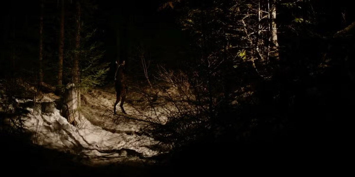 A deer god stands in a forest in "Black Mountain Side"