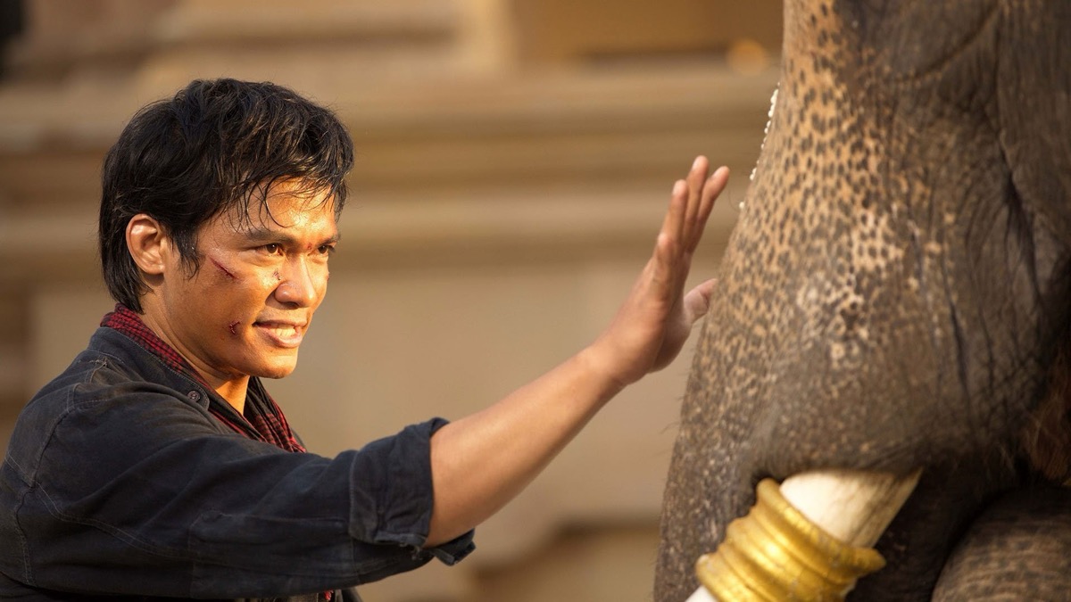 A man smiles and reaches out to pet an elephant in "The Protector" 