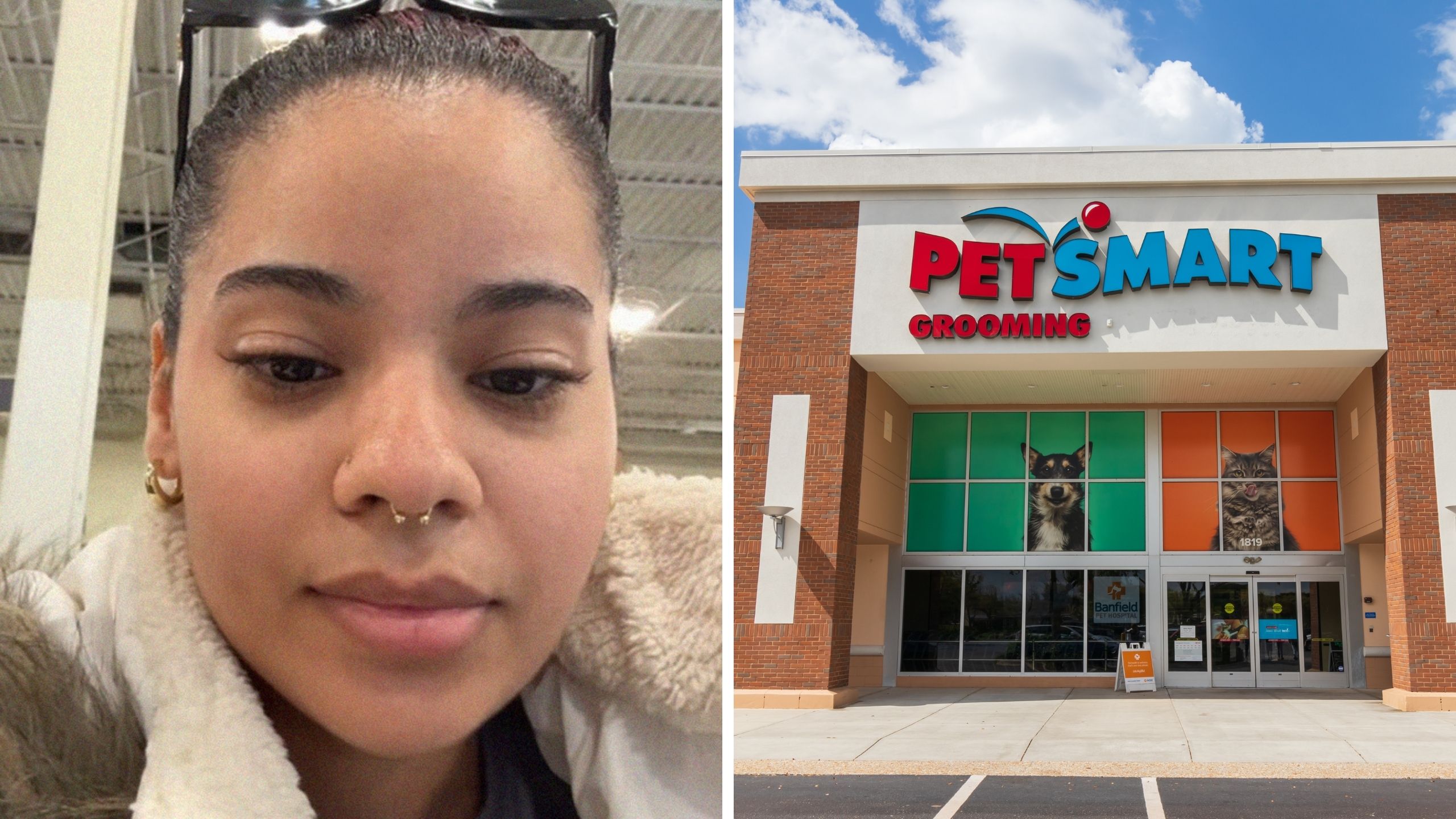 ‘They’ve been known to kill pets’: Florida woman walks into PetSmart. Then she issues PSA after seeing this brand on the shelf ‘They’ve been known to kill pets’: Florida woman walks into PetSmart. Then she issues PSA after seeing this brand on the shelf