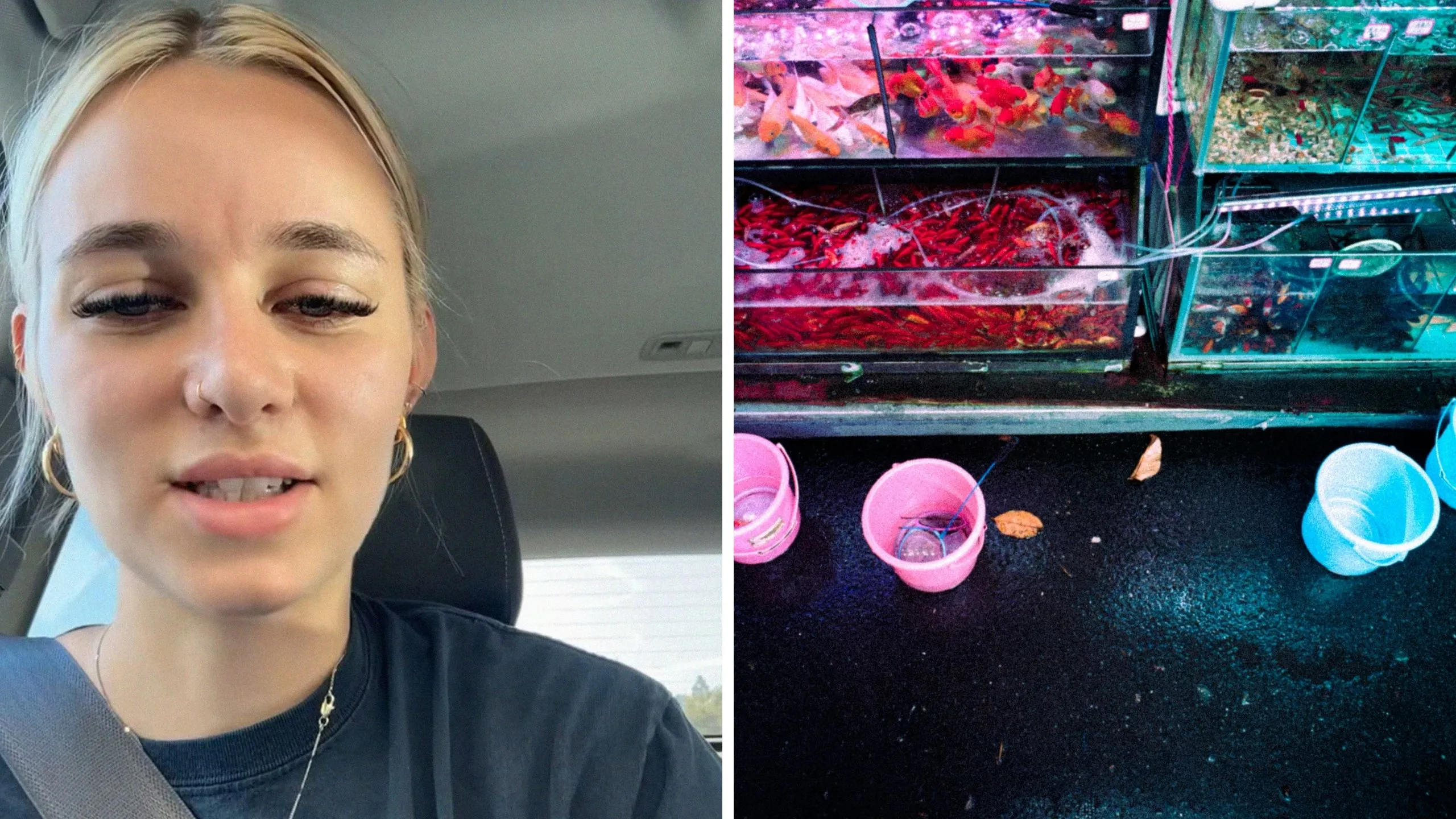 woman shares fish store experience (l) fish store (r)