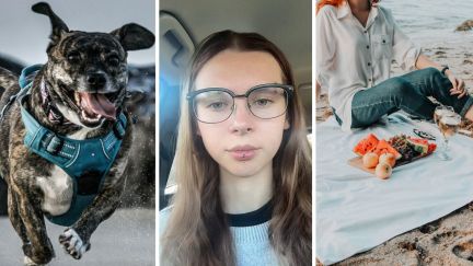 dog running towards picnic (l) woman shares beach picnic experience (c) woman having a beach picnic (r)