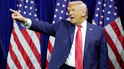 Trump claims Greenland doesn't belong to its citizens