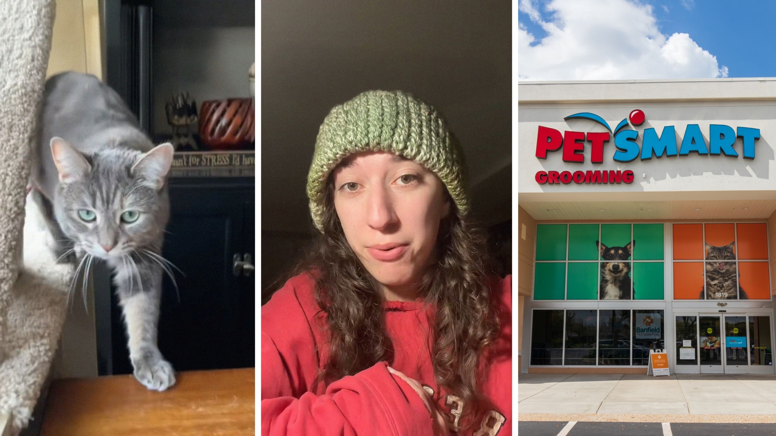 lost cat (l) woman shares pet smart hotel experience (c) PetSmart store front (r)