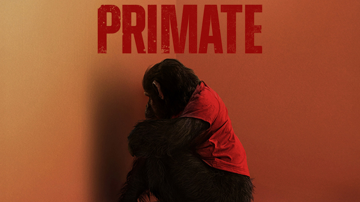 Primate