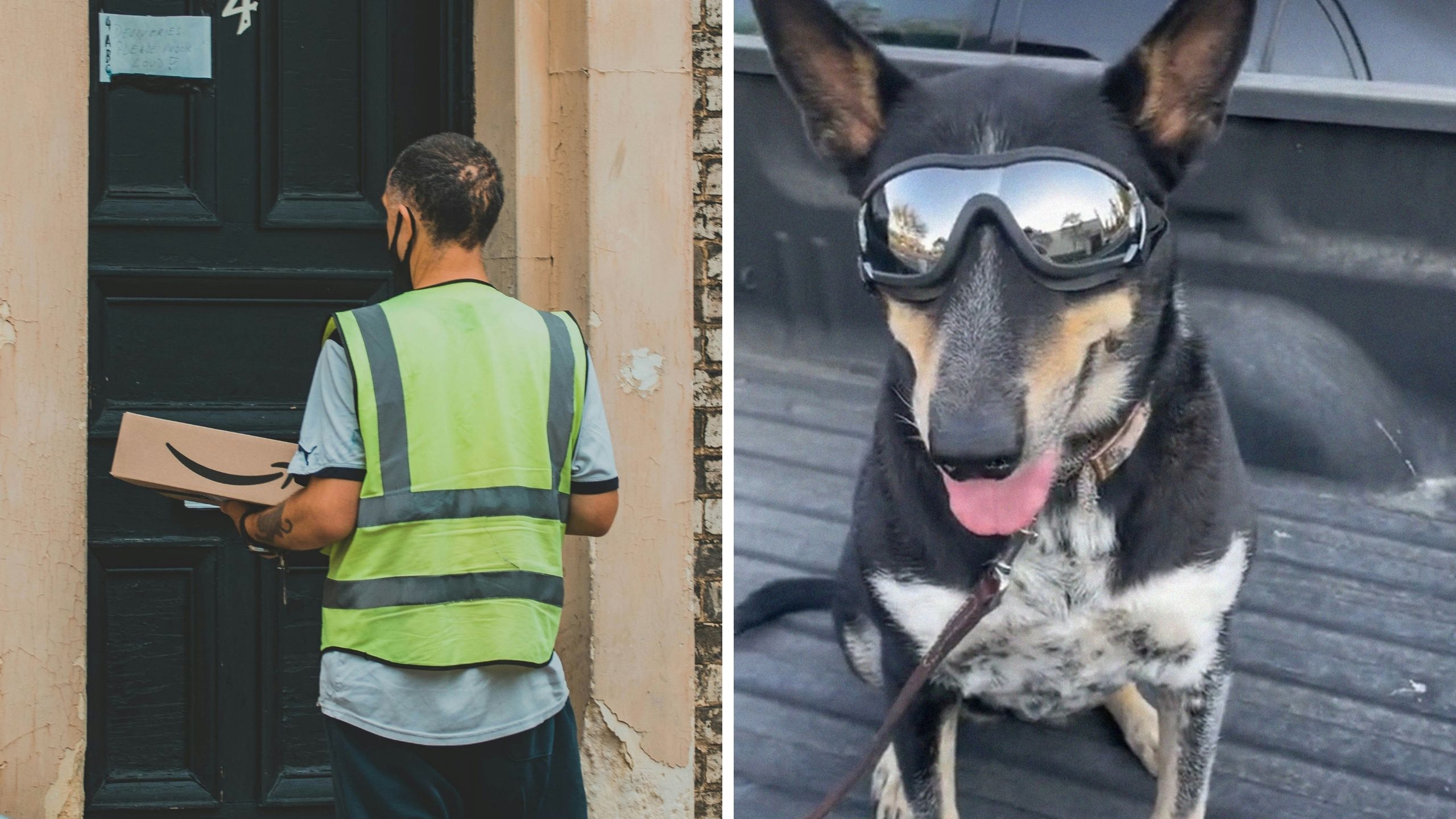 Amazon delivery guy (l) cute dog (r)