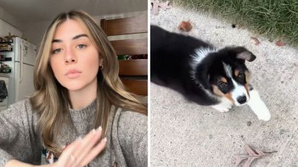 woman shares pet store experience with her dog (l) cute puppy (r)