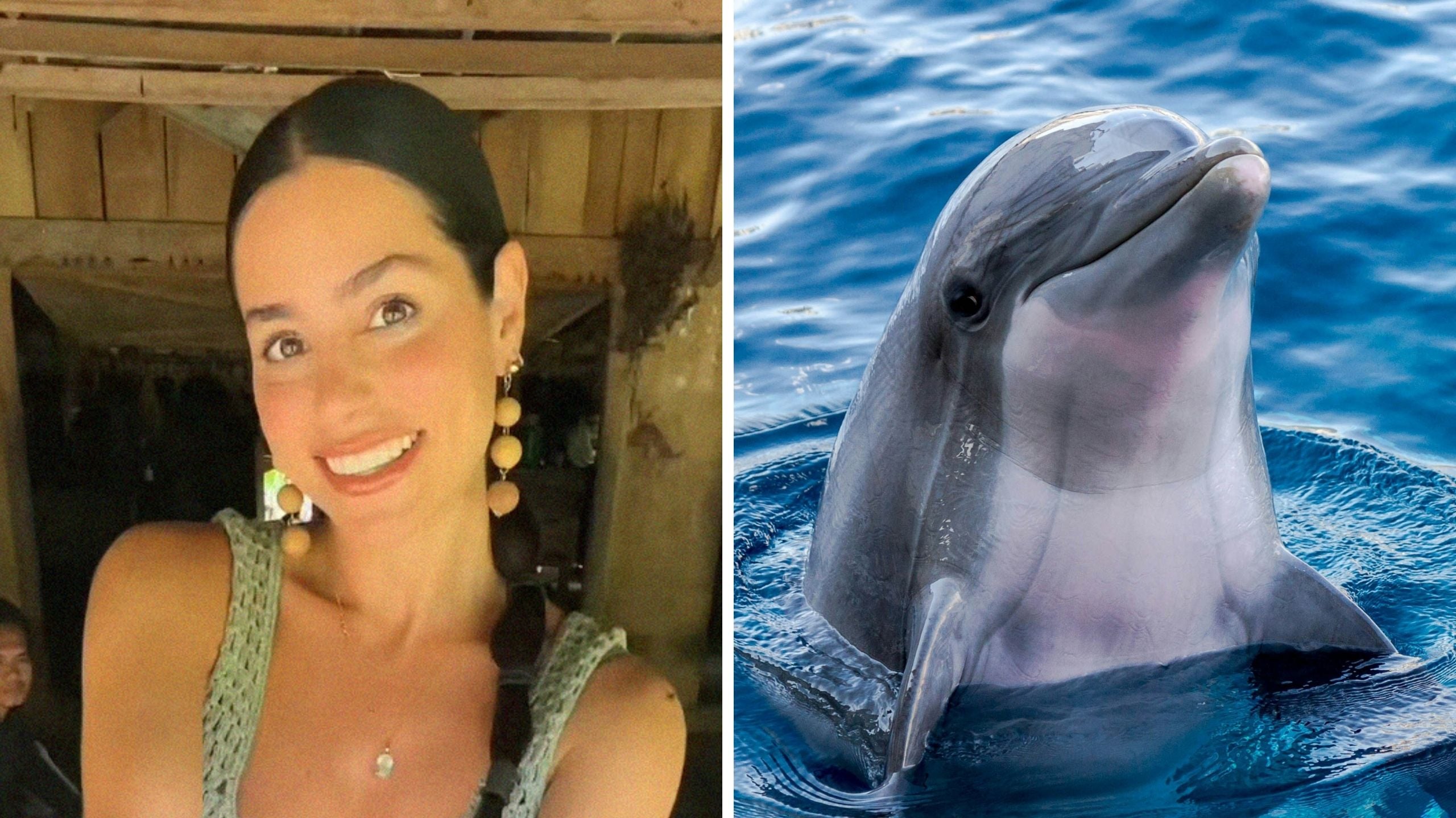 Pregnant Los Angeles woman meets dolphin in distress. Then she jumps into the ocean to help: ‘I’d actually have so much beef w remoras after that’