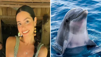 woman shares ocean experience (l) dolphin in ocean (r)