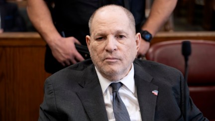 harvey weinstein sitting