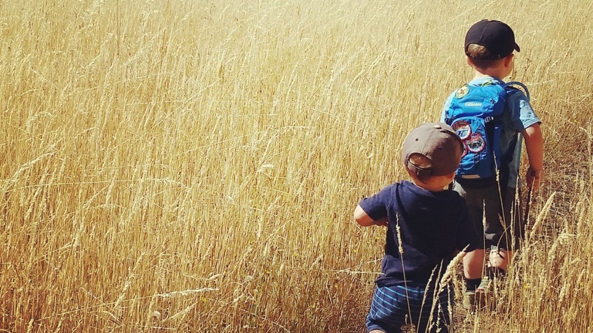 A five-year-old is fighting for his life after saving his little ...