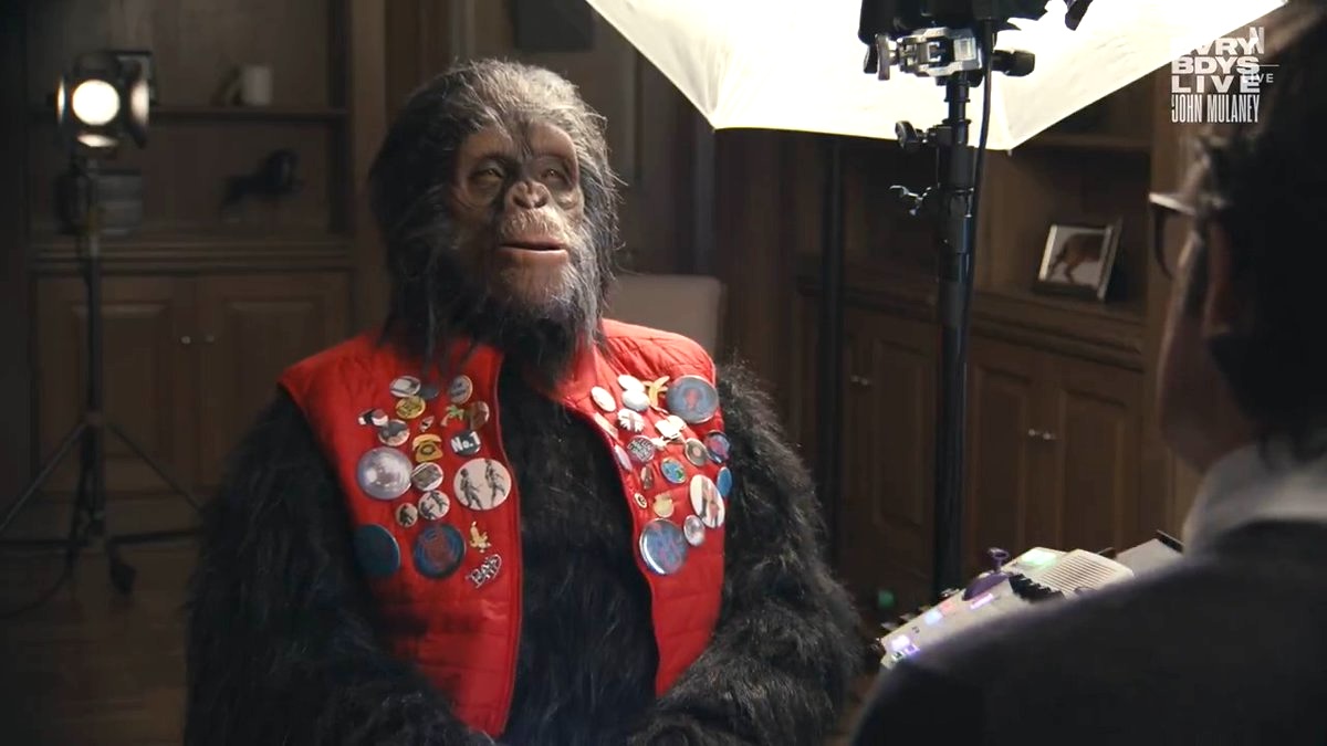 monkey sitting in an interview