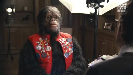 monkey sitting in an interview