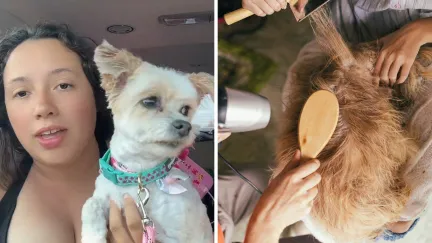 woman shares groomer issue (l) doggie at the groomers (r)