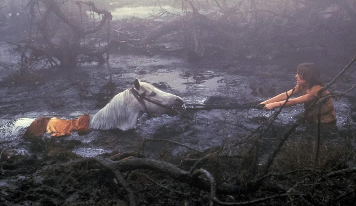 A boy frantically pulls his horse from a swamp in The NeverEnding Story