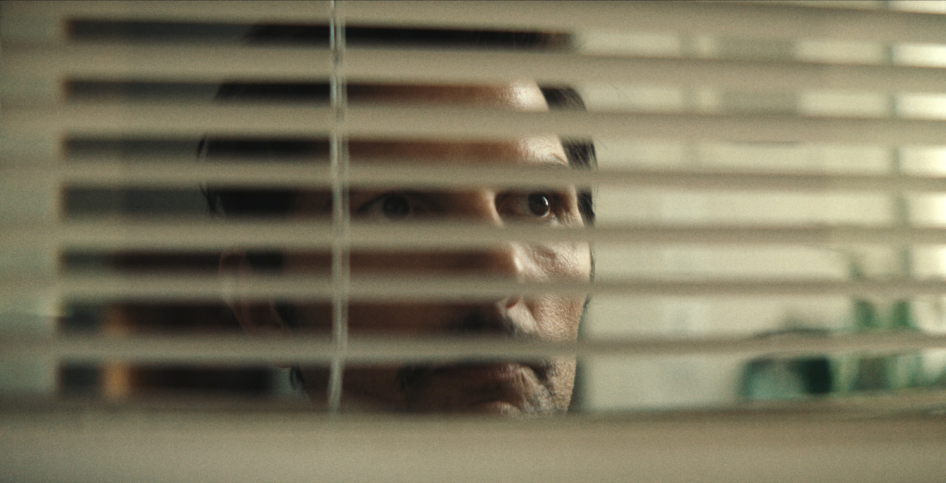 man looking through blinds