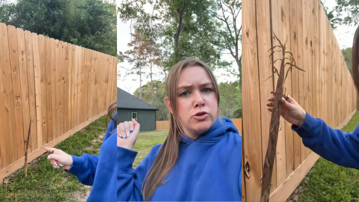 Houston Woman Has the TikTok Fearing for The Thing Growing Out of Her Yard 'You've Got 20 Minutes'