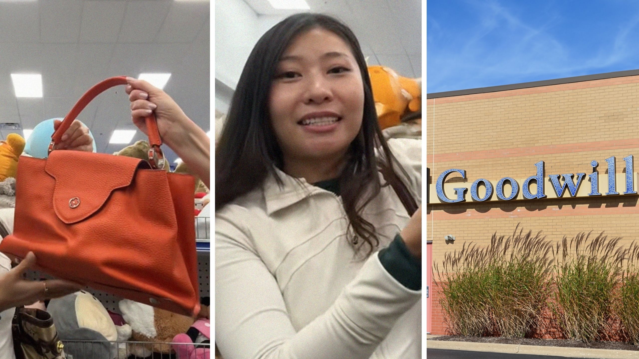 Louis Vuitton bag (l) woman shares goodwill experience (c) Goodwill storefront (r)