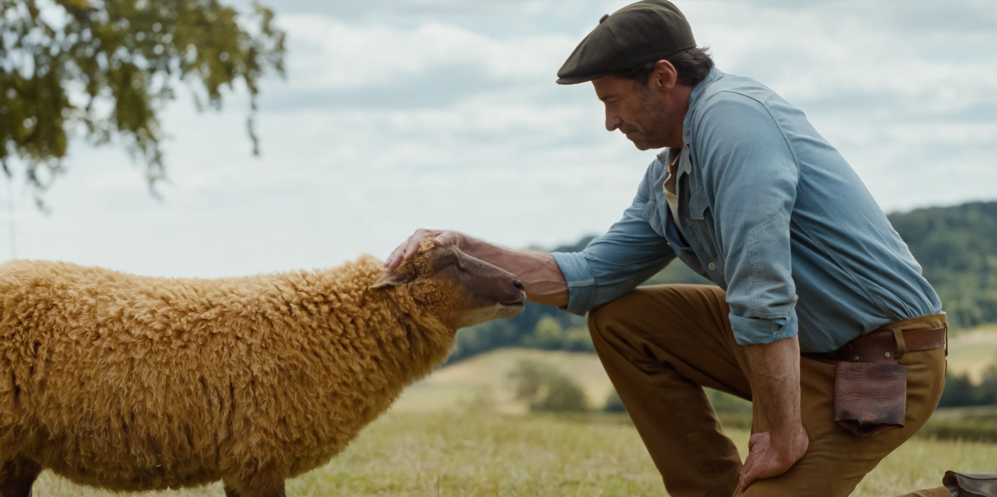 a man and a sheep