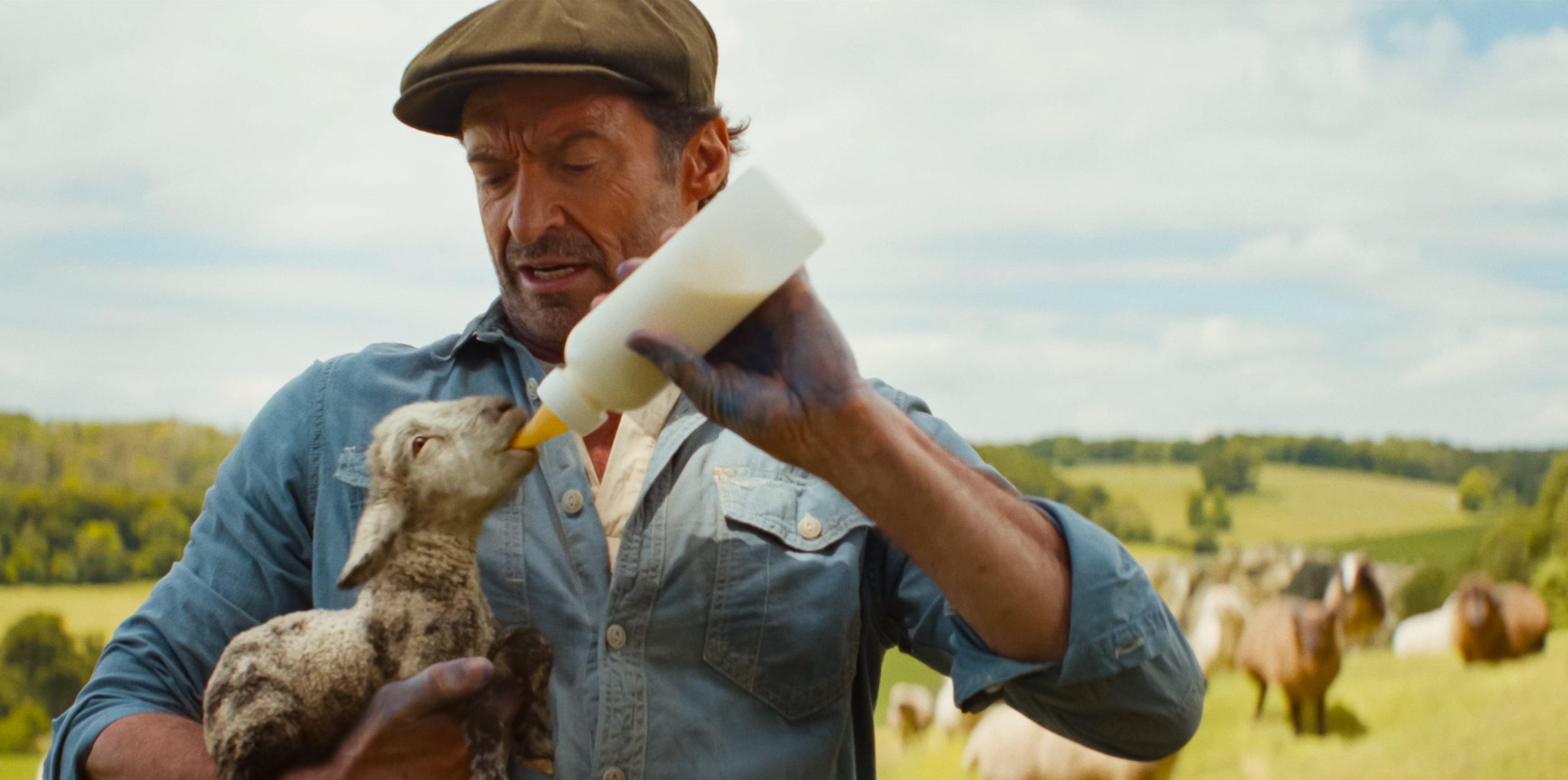 man feeding a sheep