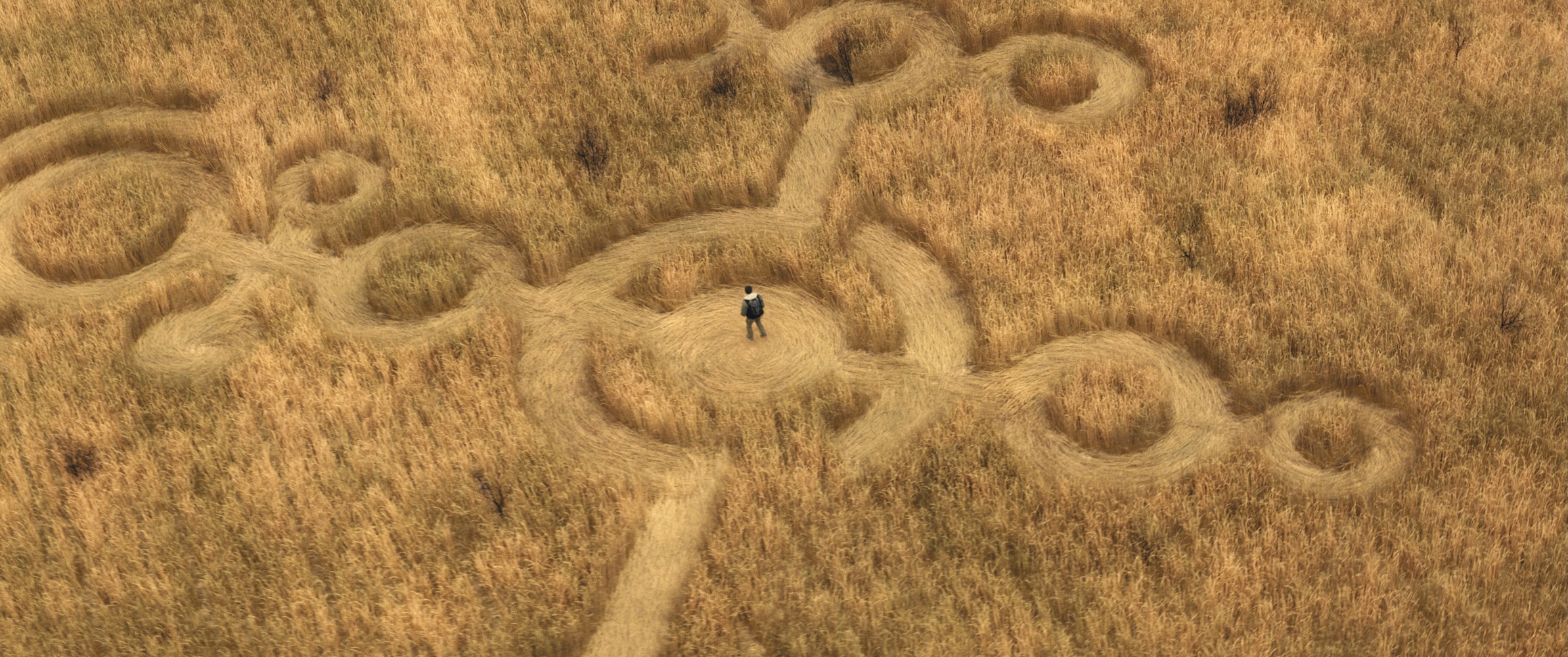 signs in a field