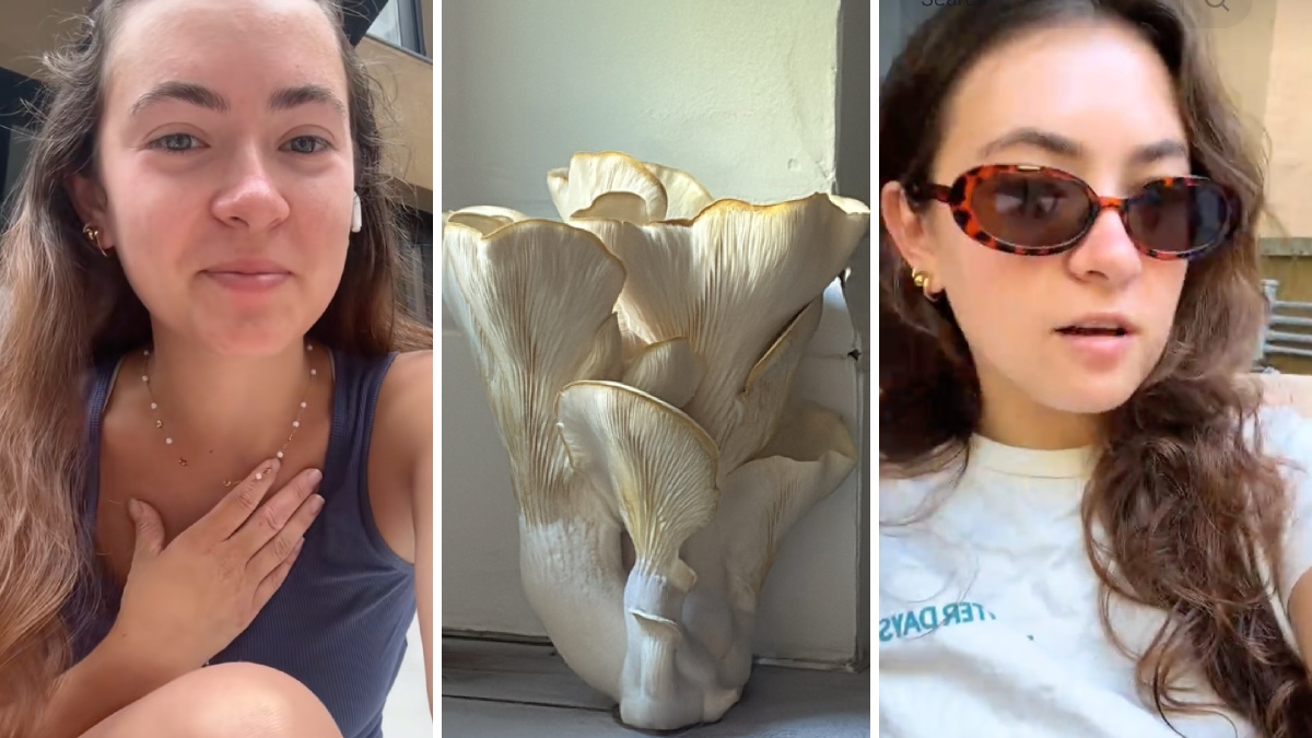 Amelia (@ameliaaxel) via TikTok