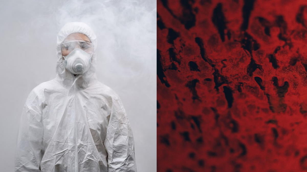 Former Crime Scene Cleaner in Chicago Talks About the Call That Haunted ...