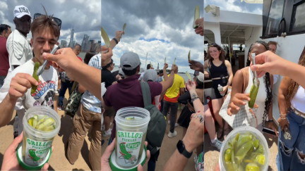 Man Shows Pickles to the Statue of Liberty Out of Context. Everyone Else Started Raising Pickles 'We the People'