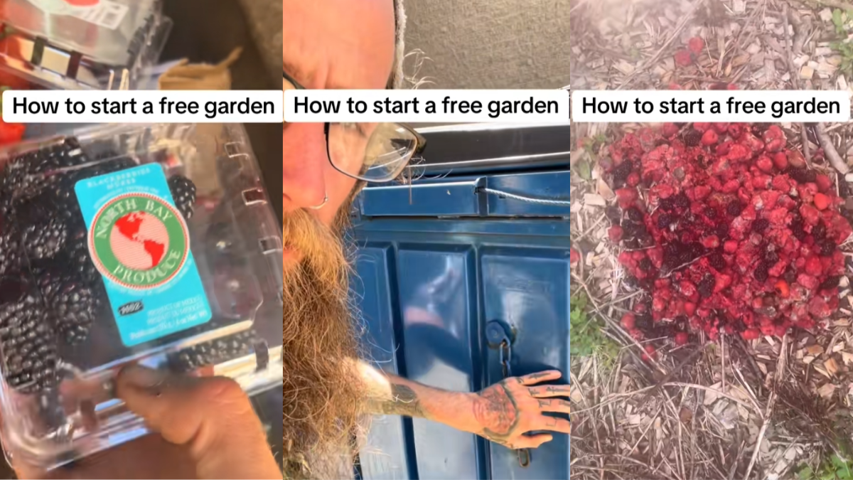 Ohio Man on TikTok Has an Unusual Advice for a Free Garden 'It Might Seem a Little Gross'