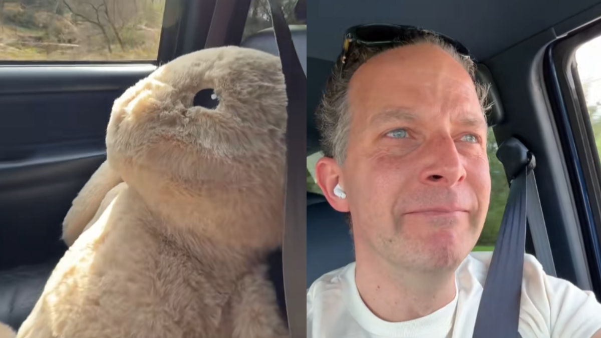 Philadelphia Dad Almost Refused to Get Another Stuffed Toy in Target for His Daughter. Then, He Saw a Bunny Plushie 'What's One More Stuffy