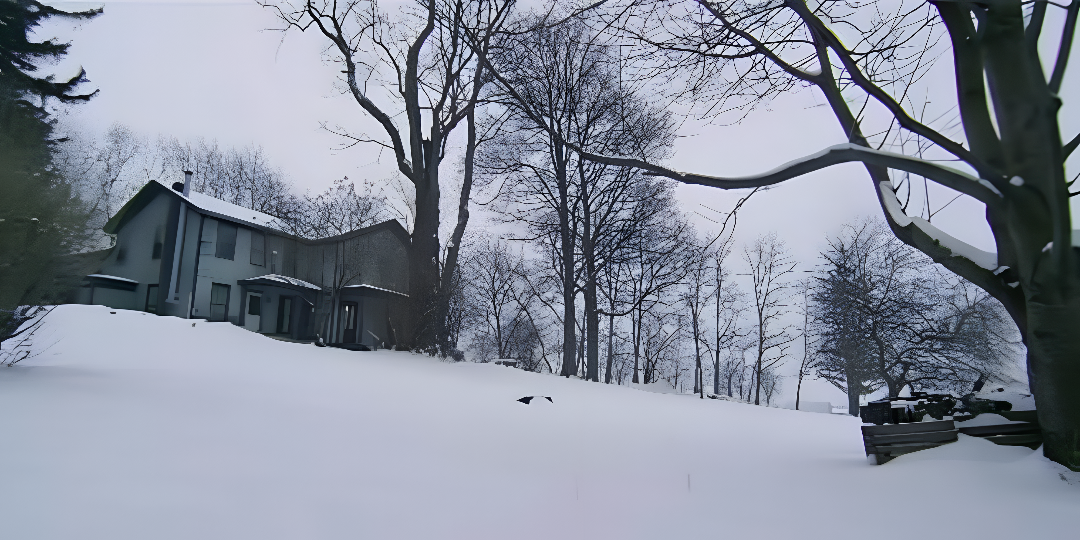A snowy landscape with a house in the background