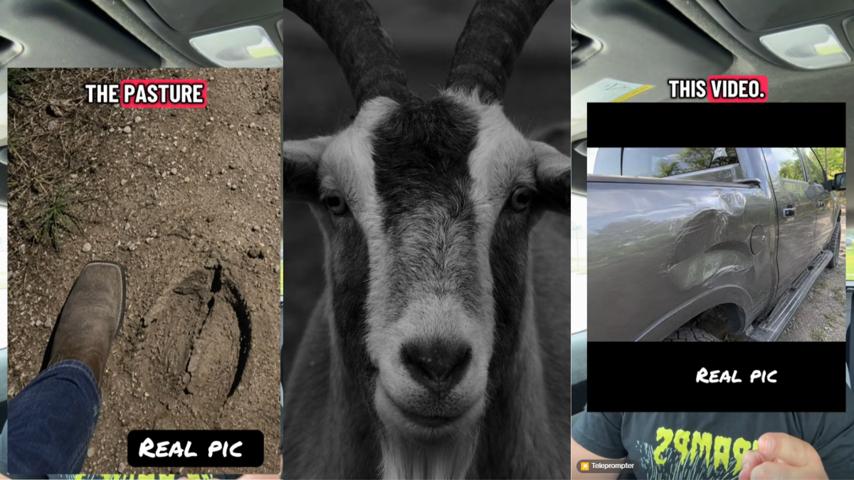 Texas Man Heard a Shriek in the Night. Then, a Goat Man Started Chasing Him: 'It Was Not Human."