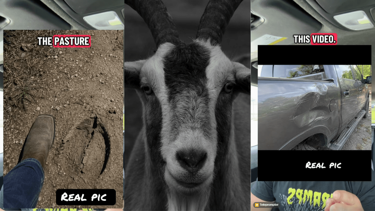 Texas Man Heard a Shriek in the Night. Then, a Goat Man Started Chasing Him 'It Was Not Human.'