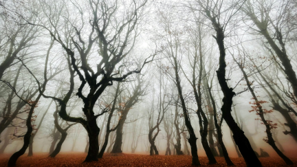 Romanian Man Goes into the Appalachia of Europe. Something Wanted Him to 'Come Back Alone'