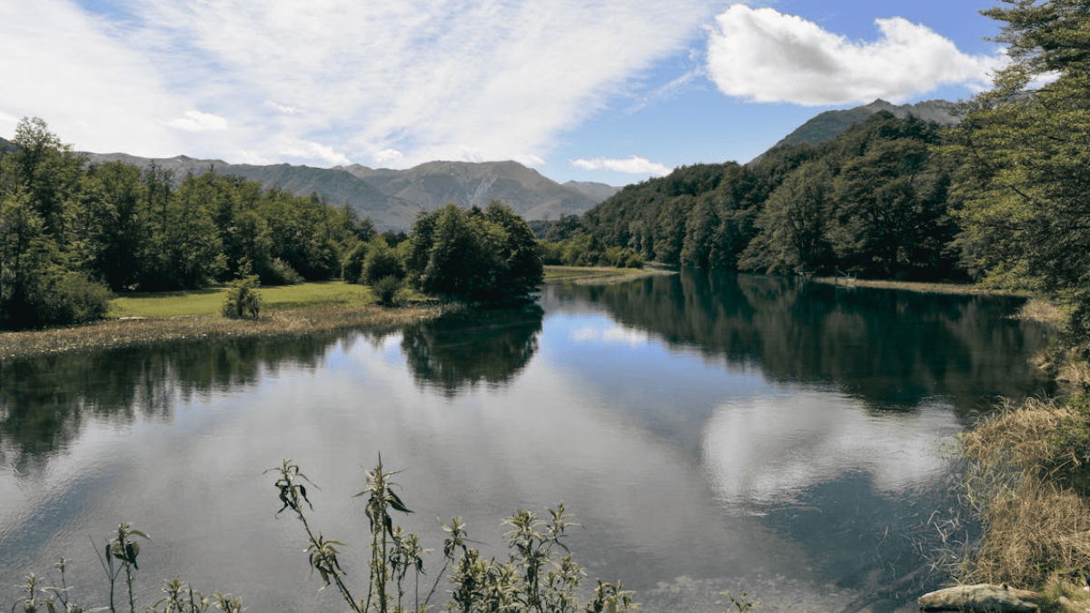 Why is Part of the Amazon River Black TikTok Resident Spooky Lakes Expert from Wisconsin Explains