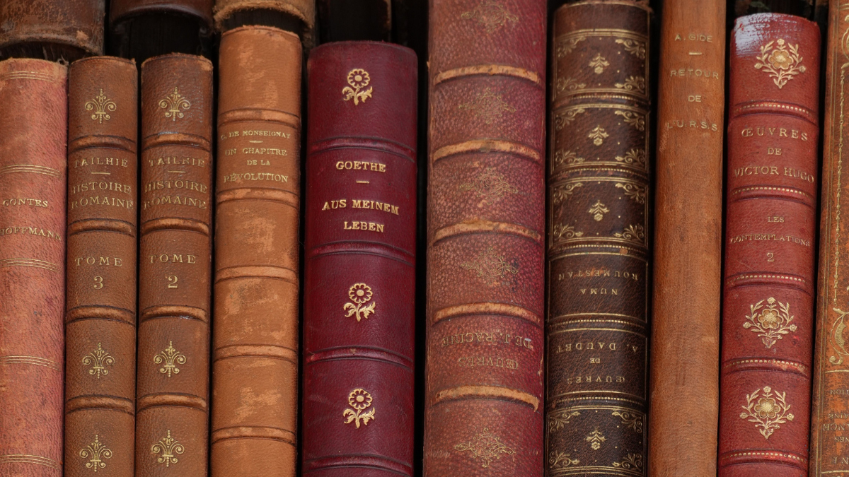 The spines of older books similar to ones AI is using to train models