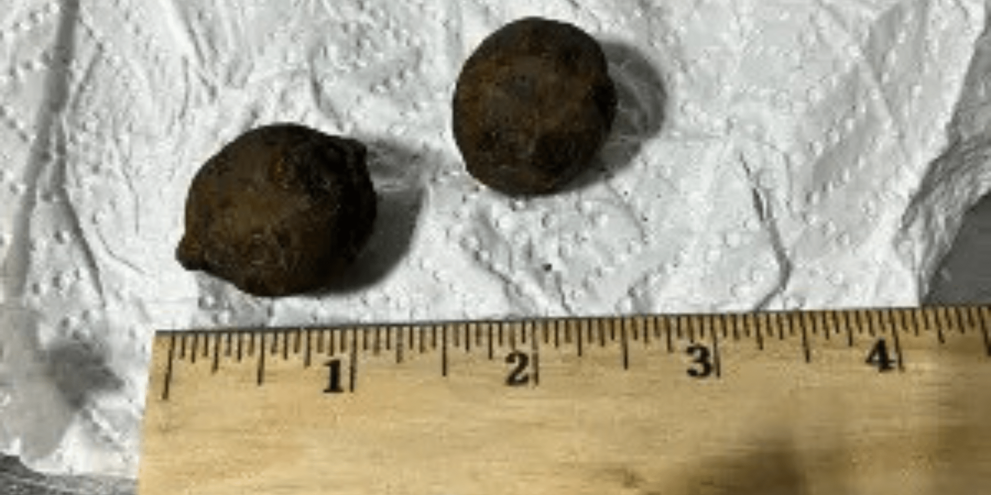 A ruler sits below two small cannonballs