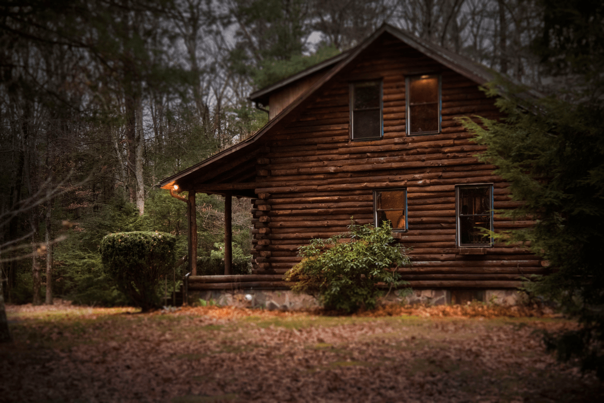A Girl Followed Two Children Into the Appalachian Woods. Then, a Creature Followed to the Cabin. ‘It Smiled.’