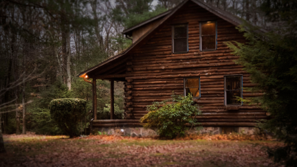 A Girl Followed Two Children Into the Appalachian Woods. Then, a Creature Followed to the Cabin. ‘It Smiled.’