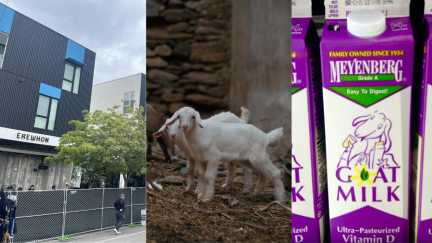 California Woman Could Be Facing Jail Time for Saving Baby Goats