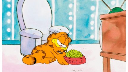 Garfield the Cat sits with a bowl of food in a 