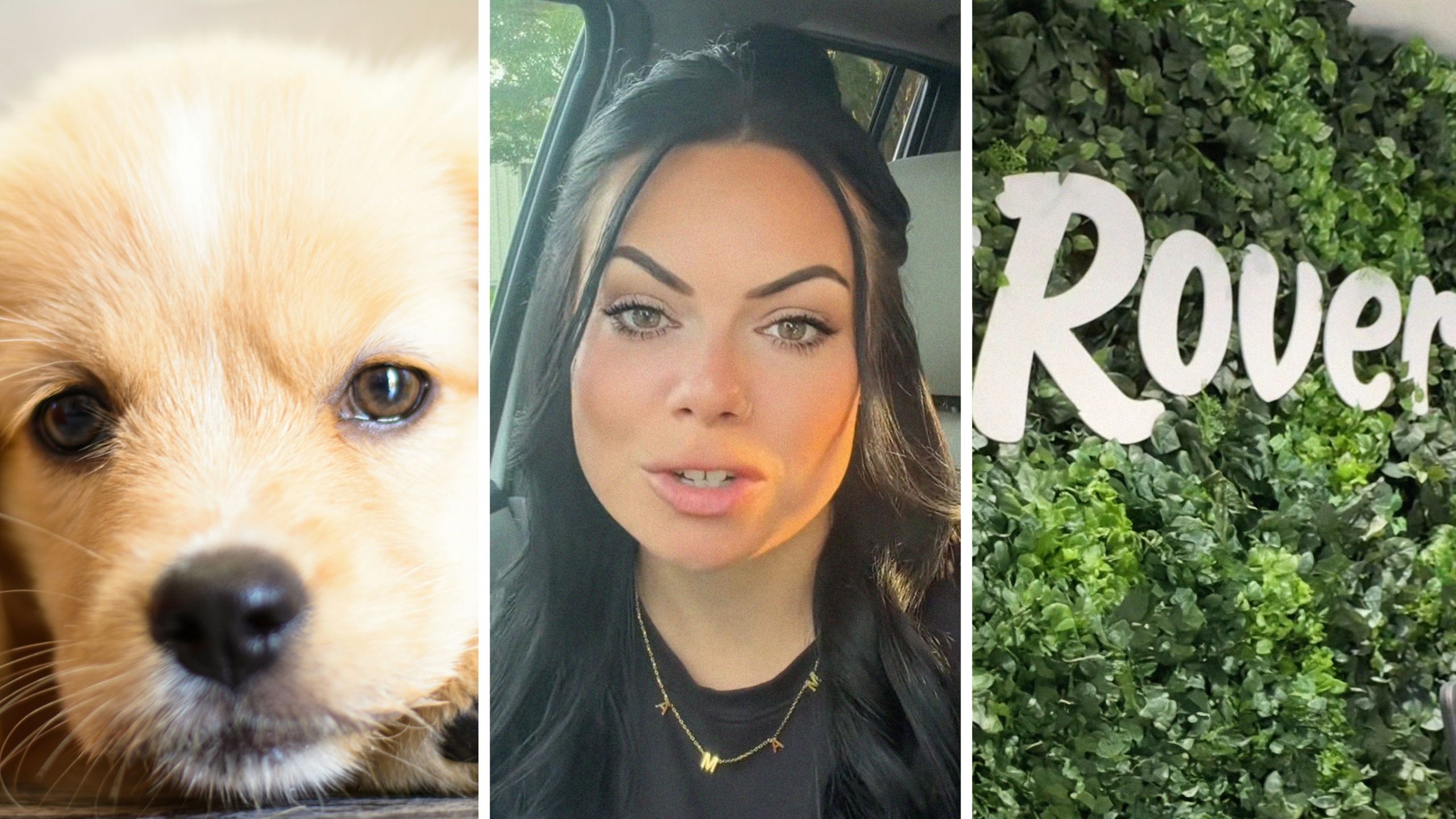 themarysue.com - Ljeonida Mulabazi - Maryland woman hires dog sitter from Rover. When she picks him up, her puppy starts shaking uncontrollably: 'Did he have chocolate?'