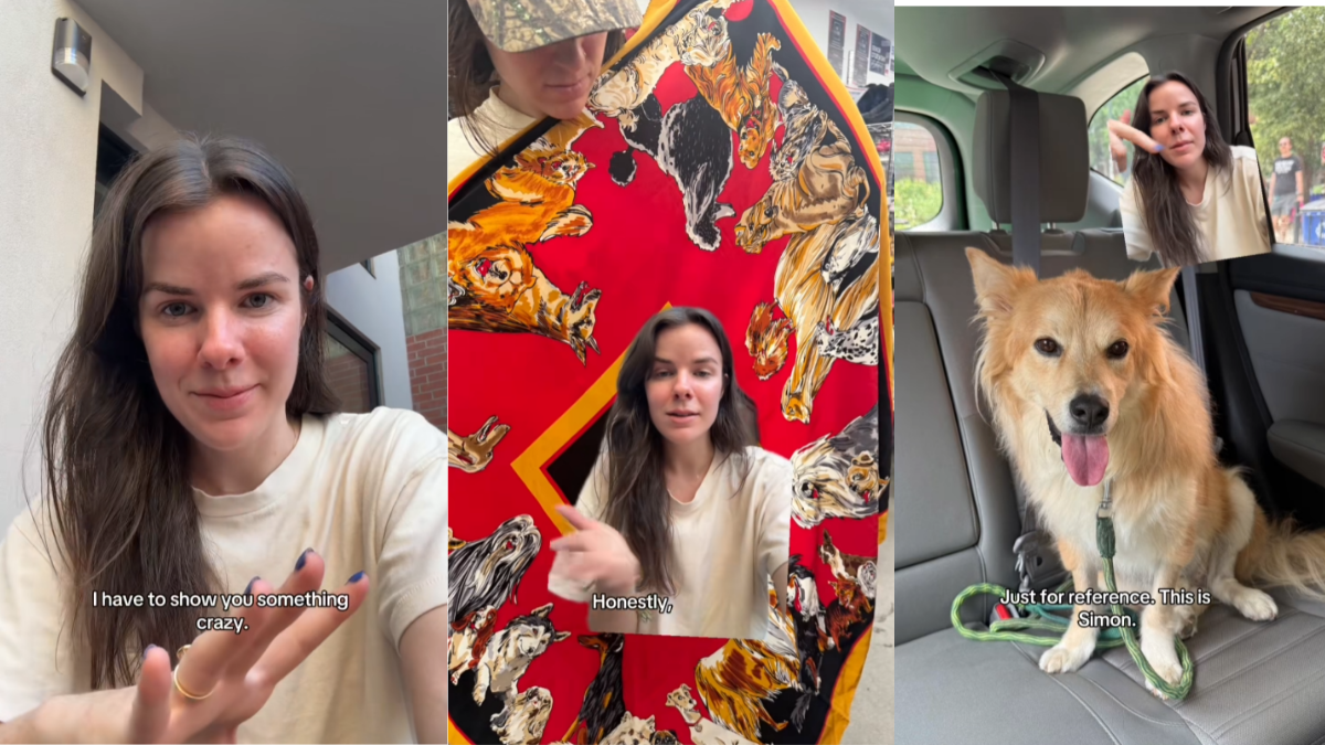 New York Woman Receives a Thrifted Scarf from a Friend. It Had a Furry Surprise at the Center 'It's Simon and All of His Foster Friends'
