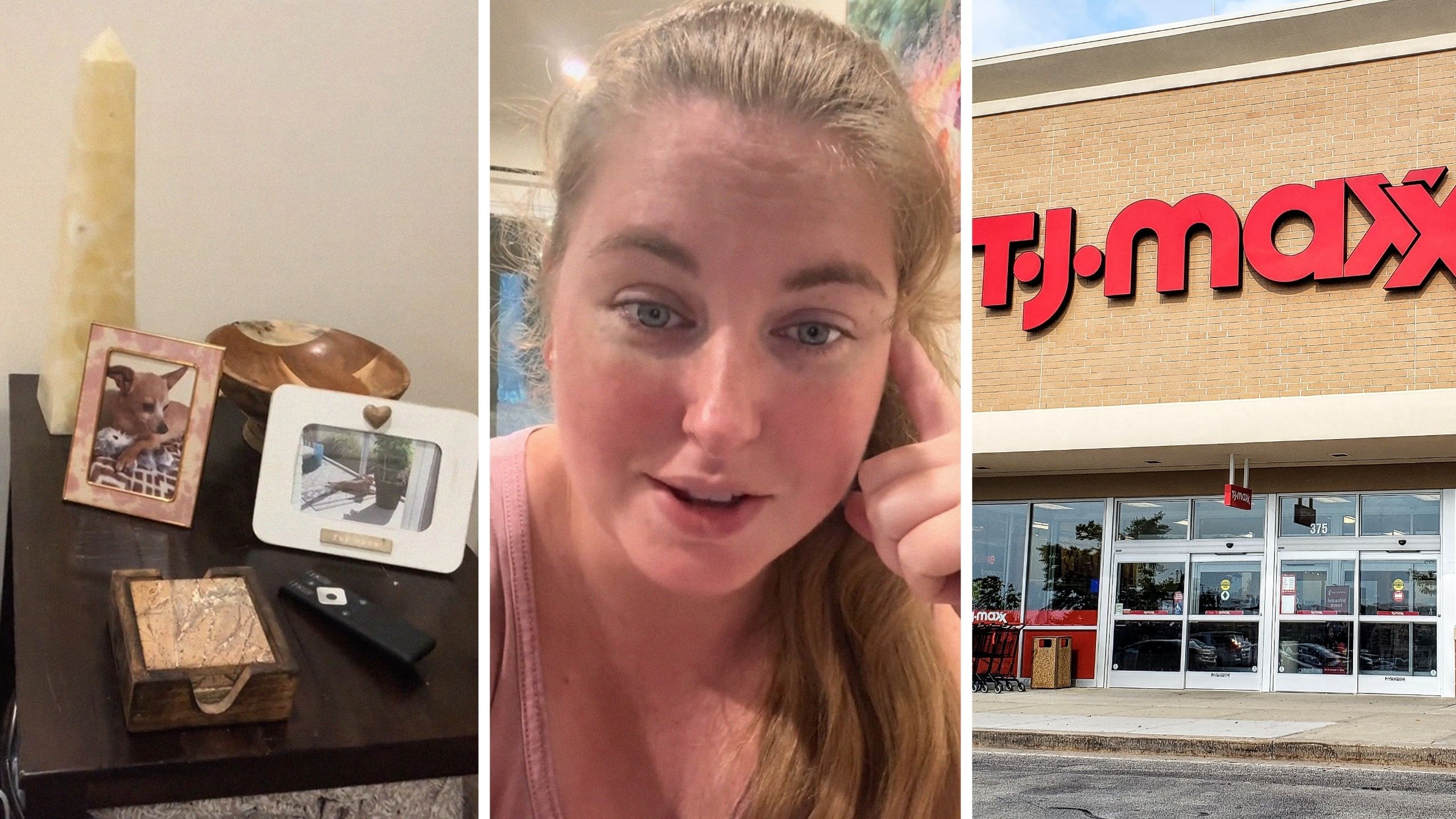 Woman Buys Home Decor Item at T.J. Maxx. Then She Sees Something Crawl out of It...