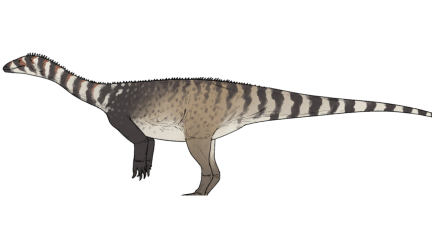 Artist rendering of Musango matusadonaensis