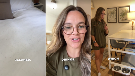 Airbnb Host Finds Dog Hair on the Bed. Now, People Want to Stay in Her Listing ‘I Hope U Get Infinite Bookings, Queen’