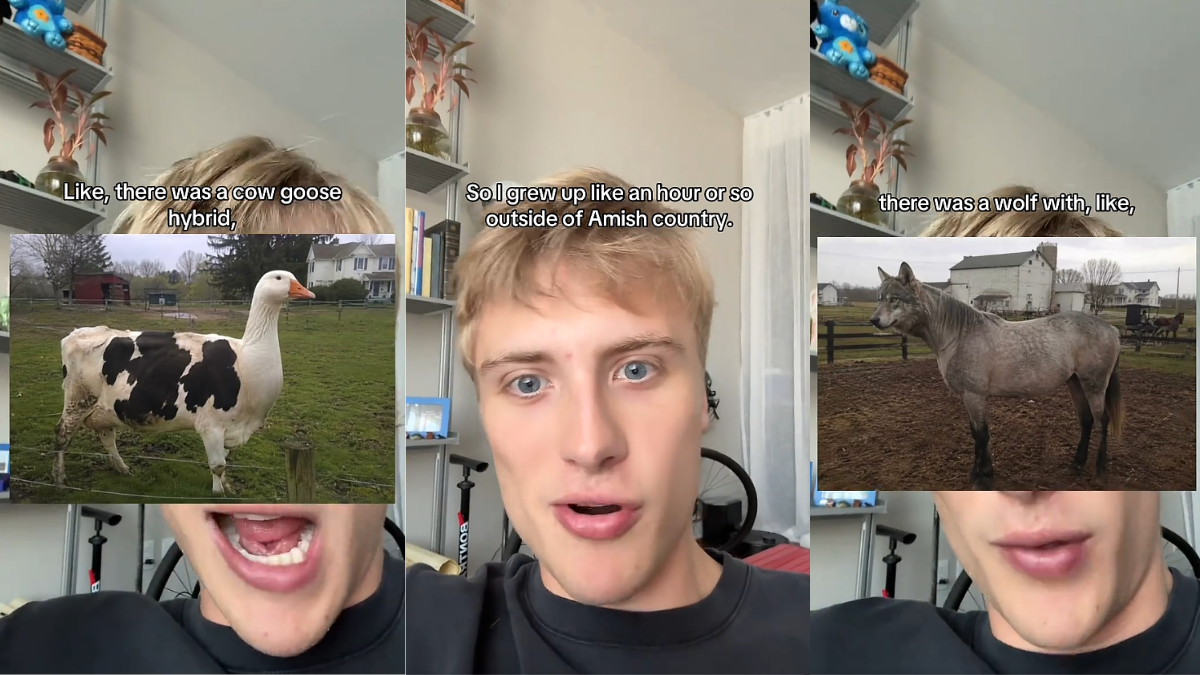 His Friend Played Pranks on Amish People. He Escalated the Bit With Photoshop 'We Just Started Generational Lore'